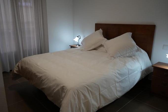 Apartamentos Turisticos Empecinado Roa Luaran gambar
