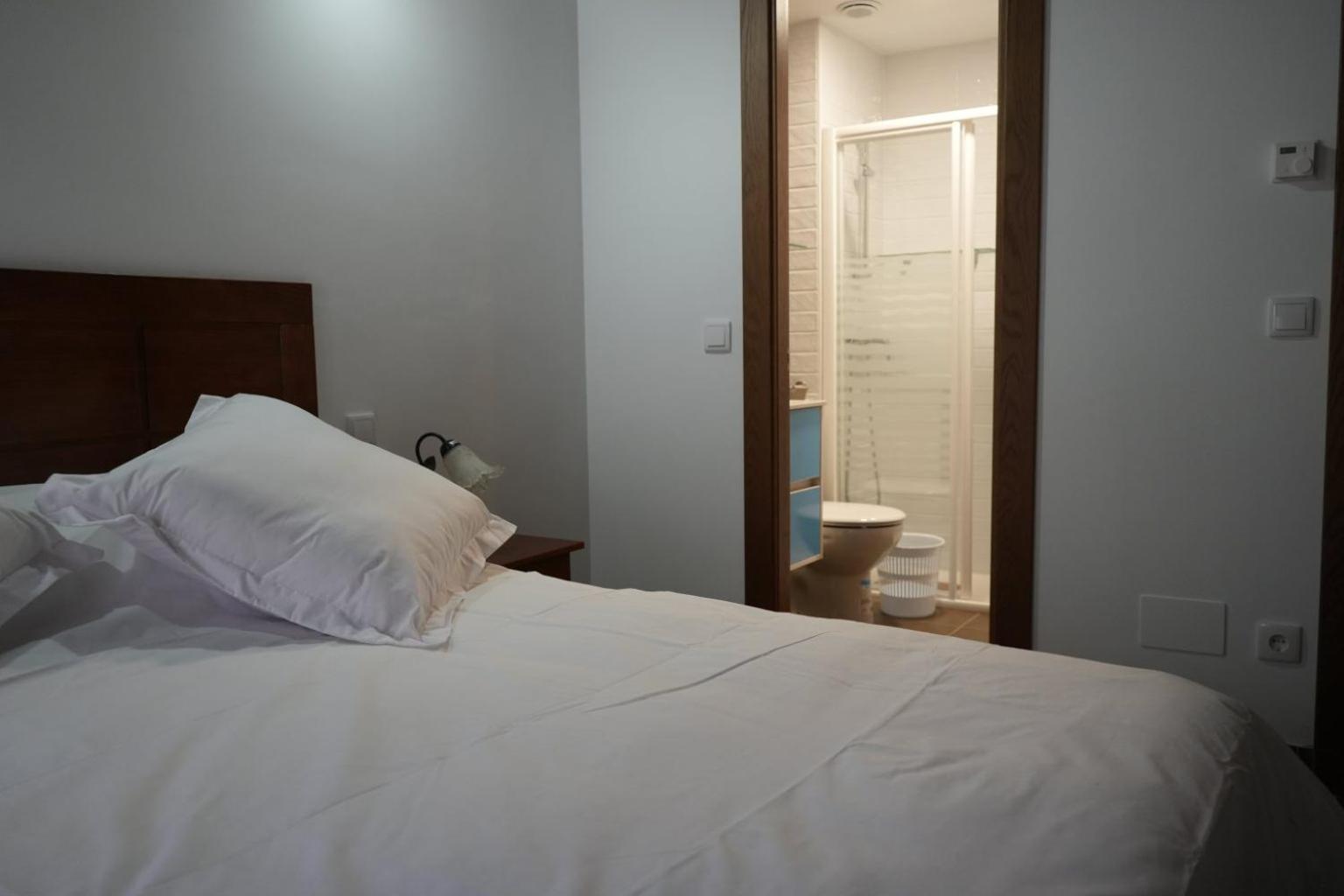 Apartamentos Turisticos Empecinado Roa Luaran gambar