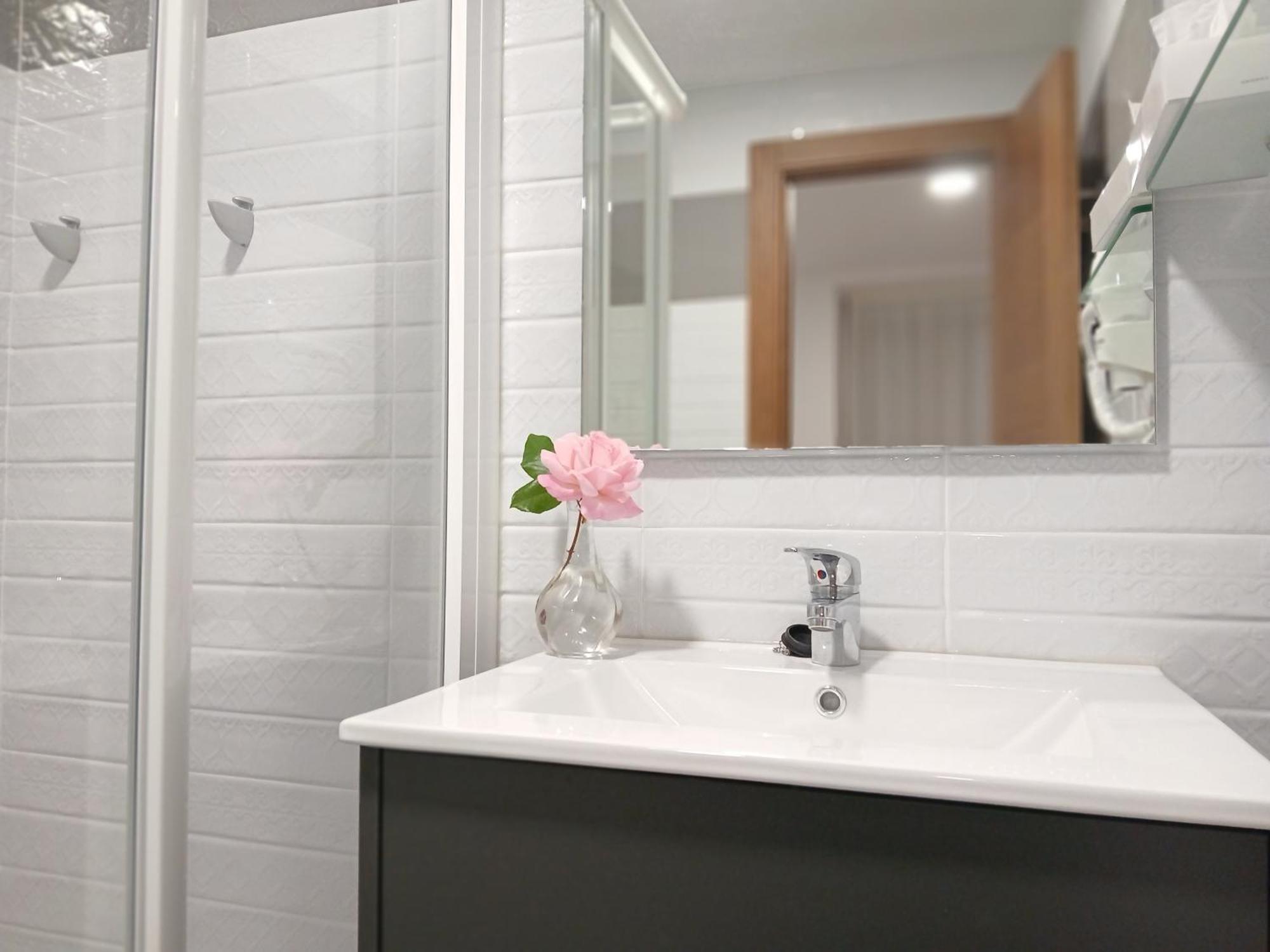 Apartamentos Turisticos Empecinado Roa Luaran gambar